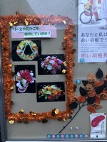 23C20056-C382-42AC-A339-1B9D228C490E.jpeg