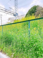 33A68083-2D7C-403F-954E-2CDEE105113F.jpeg