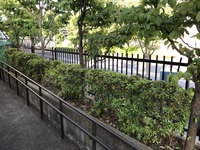 4F0E2607-A8A2-4F1E-93C0-F87C15F1494C.jpeg