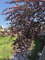 84573ECD-332E-46DA-AB33-76E2C1970839.jpeg