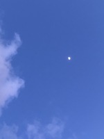 8A0841F7-EE25-49F5-B6C8-2F2FC476A86D.jpeg