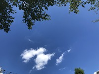 9177C659-03D0-4FA0-981A-48738E1097AD.jpeg