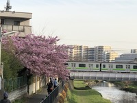 AB97AD10-6E12-4074-A8D0-88271E561AC5.jpeg