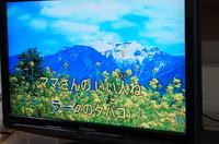 DSC06104.JPG