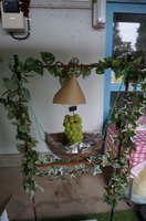 DSC07530.JPG
