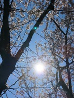 IMG_1622.jpg
