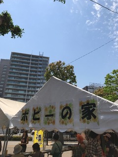 image-7cce0.jpg