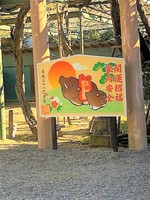 いのしし.jpg