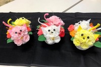 ブログねこ.jpg